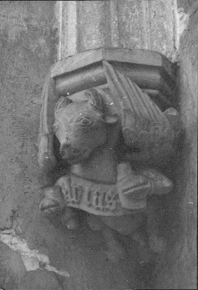 stolnica